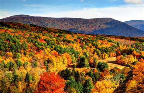 Fall in massachusetts. Things To Know About Fall in massachusetts. 
